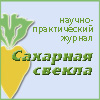 sahar_svekla.jpg